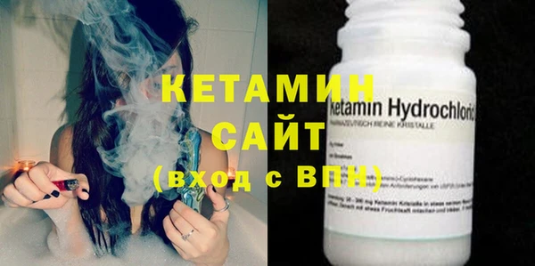 шишки Абаза