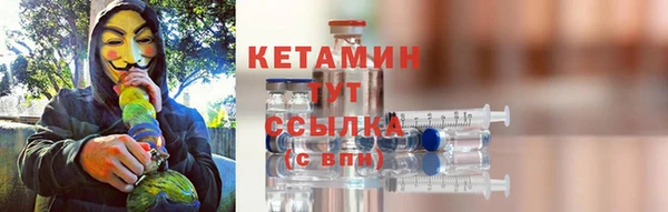 шишки Абаза
