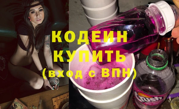 шишки Абаза