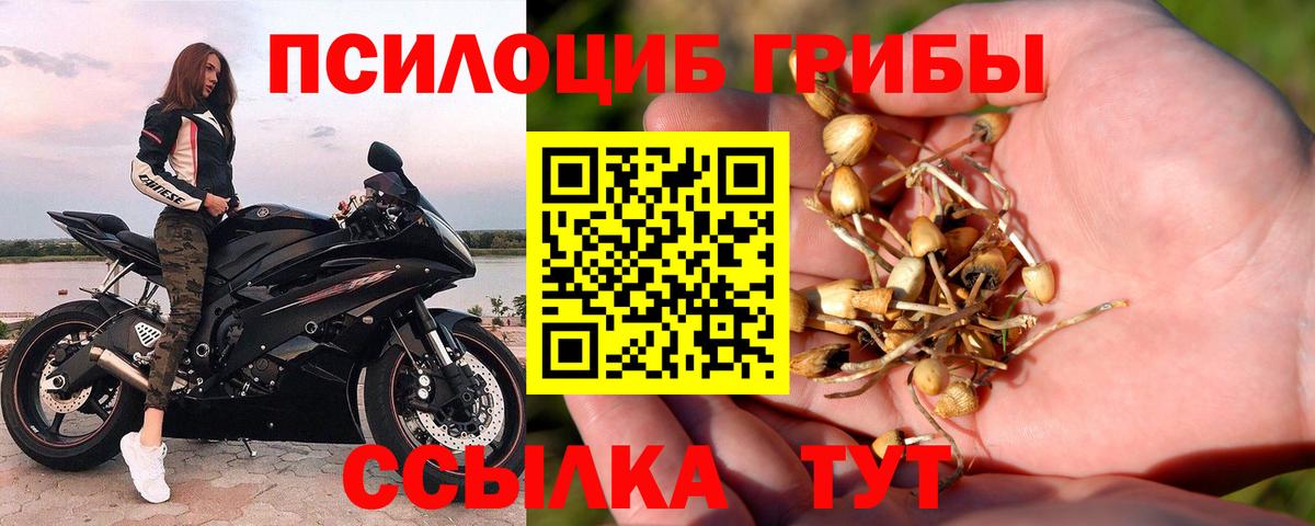 Псилоцибиновые грибы Psilocybe  Галлюциногенные грибы Cubensis  Стрежевой  наркотики  Вход с VPN 