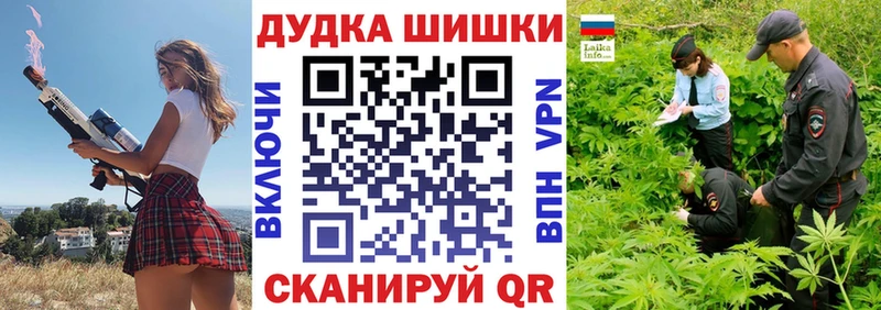 Бошки Шишки план  блэк спрут ССЫЛКА  Стрежевой  сколько стоит 